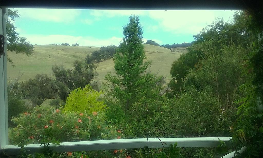 Brookvale House Balingup Guest House Exterior photo